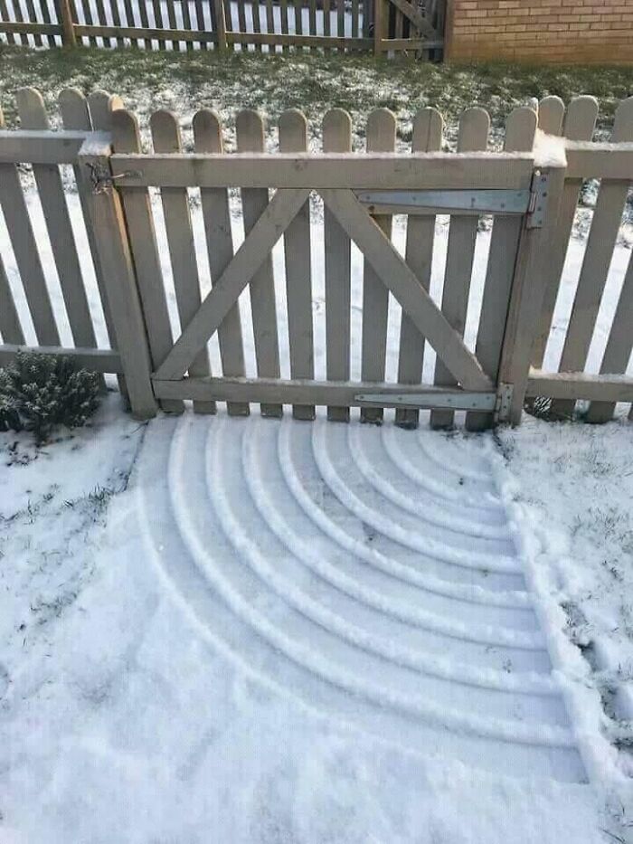 This Gate's Mark At The Snow