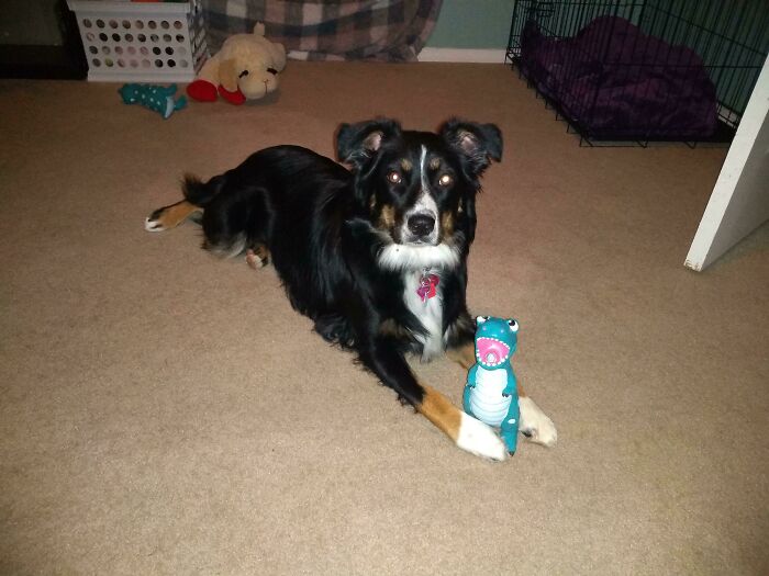 Saylor Moon And Her Favorite Toy