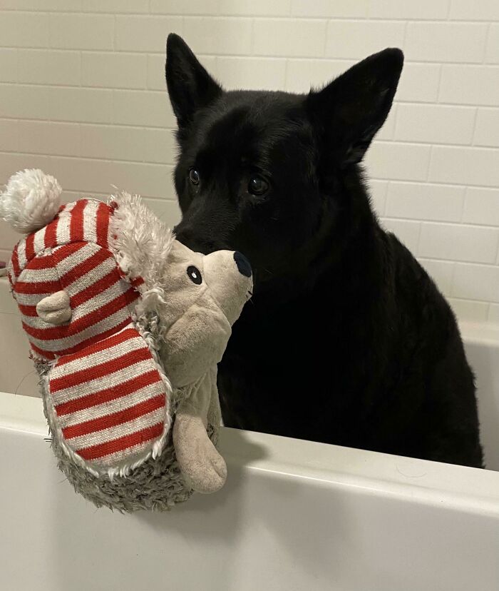 My Boy Decided He Needed His Favorite Toy For Bath Time Today