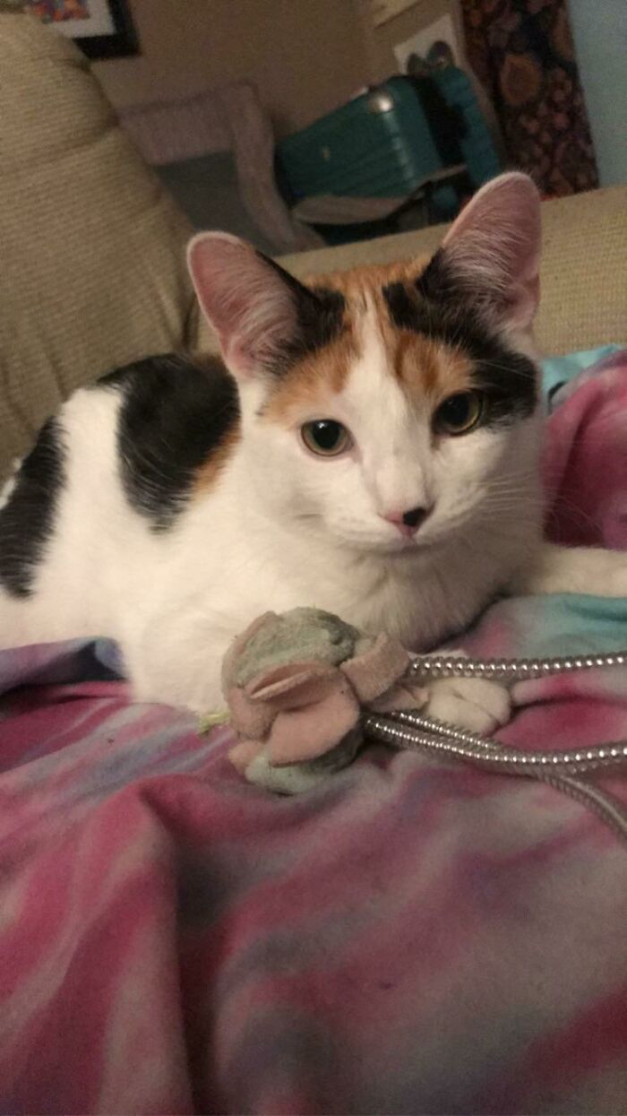 Stevie With Her Favorite Toy 