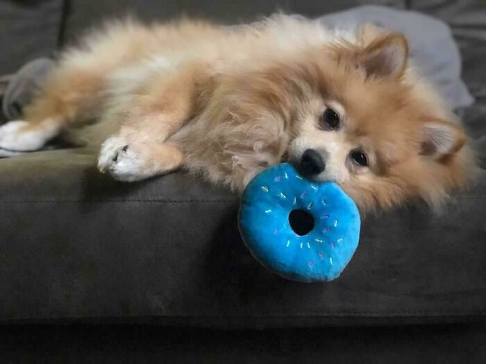 Falling Asleep But Not Letting Go Of That Toy