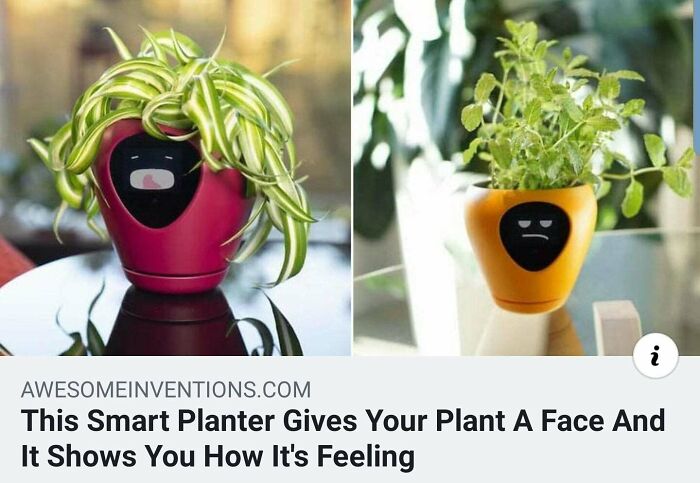 Face Planter
