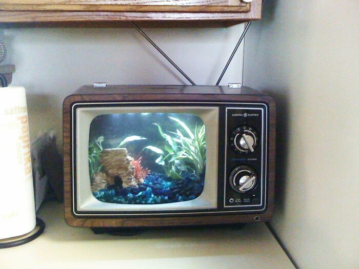 The Permanent Fish Channel... A Custom TV Aquarium