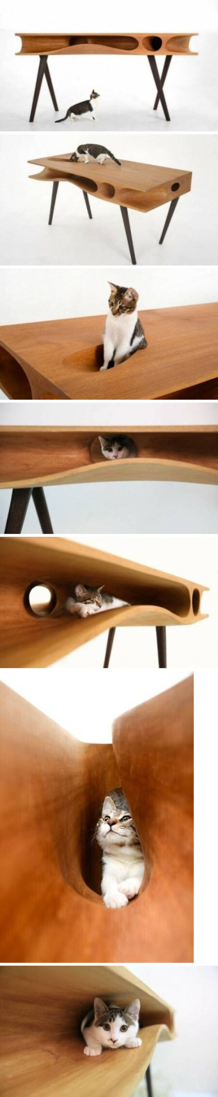 A Table Made Just For Cats, Catable.