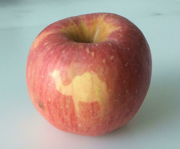 La cáscara de mi manzana se parece a la silueta de un camello