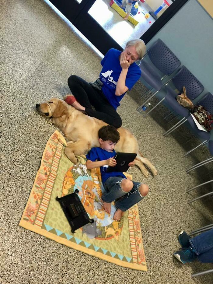 An Autistic Boy, Who Can't Be Touched, Connects With A Service Dog, As His Mom Bursts Into Tears Of Hope And Joy