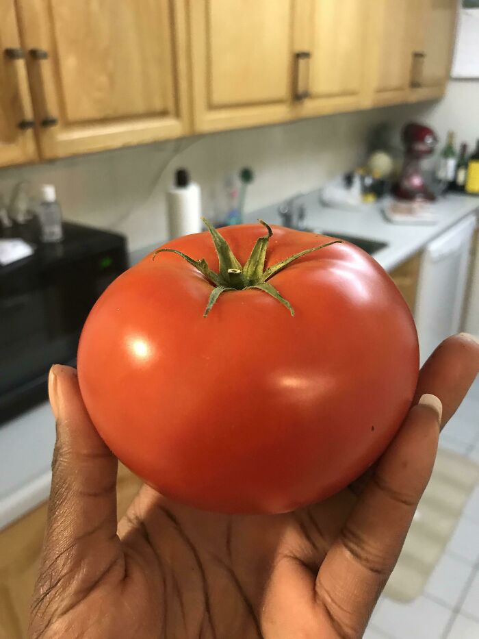 Look At This Perfect Tomato