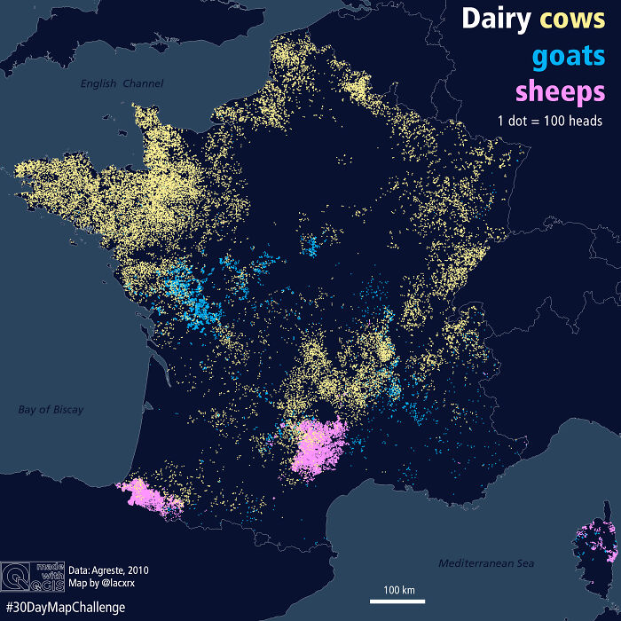 Dairy Herd Type In France