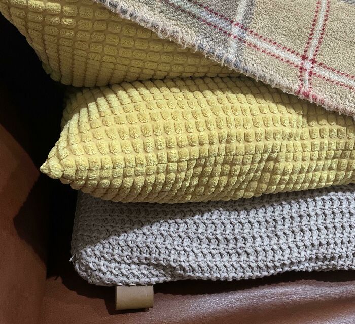 The Couch Pillow Is A Forbidden Corn Cob