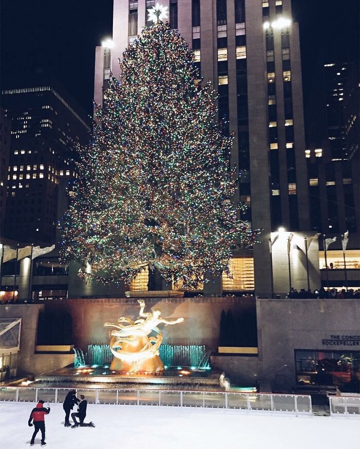 My Wife Snapped A Photo Of The Rockefeller Christmas Tree Last Night & Accidentally Captured A Marriage Proposal