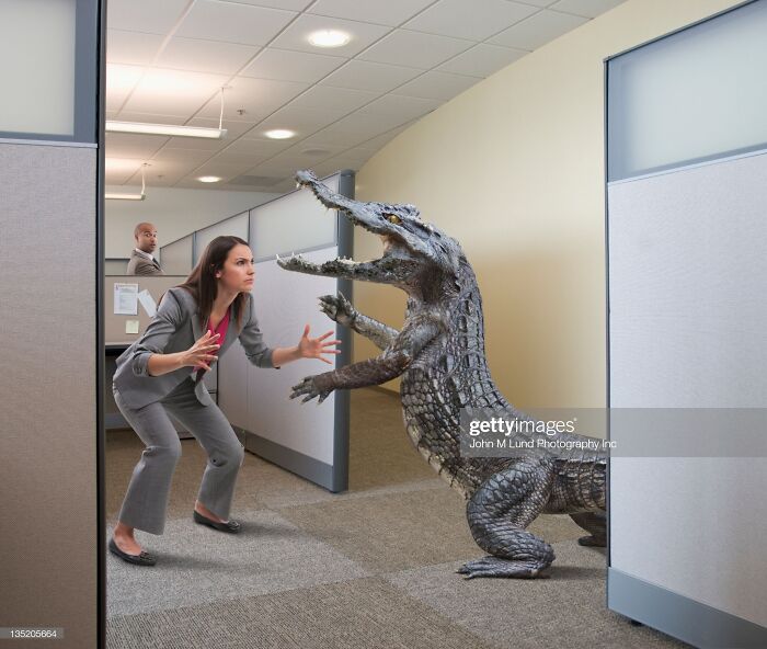 Alligator Attacking Businesswoman In Office Cubicle