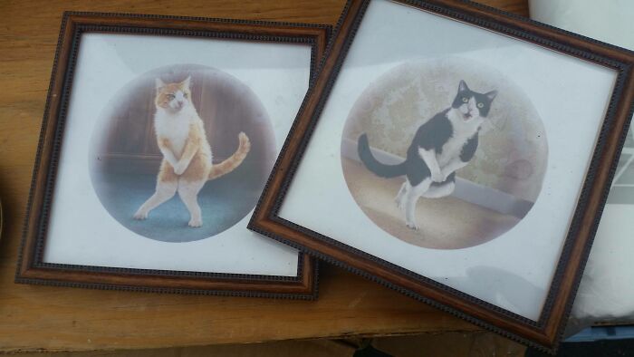 Found Some New Pictures For My Bathroom. $1 Each