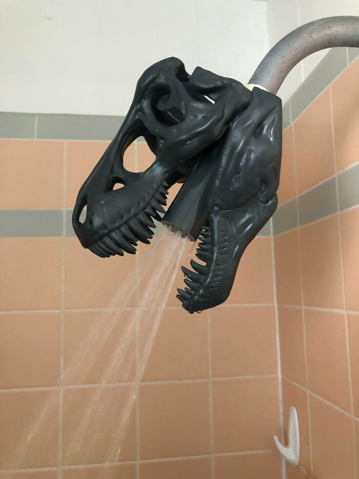 Found This T-Rex Fossil Shower Head At Goodwill