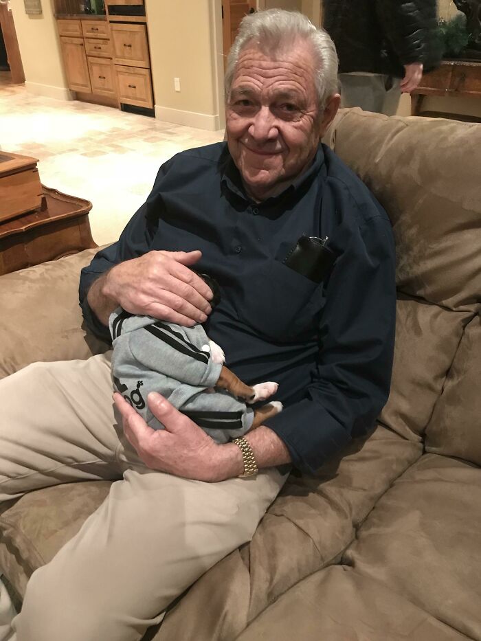My Grandpa Covering My Puppy’s Ears When Christmas Dinner Set Off The Smoke Alarms