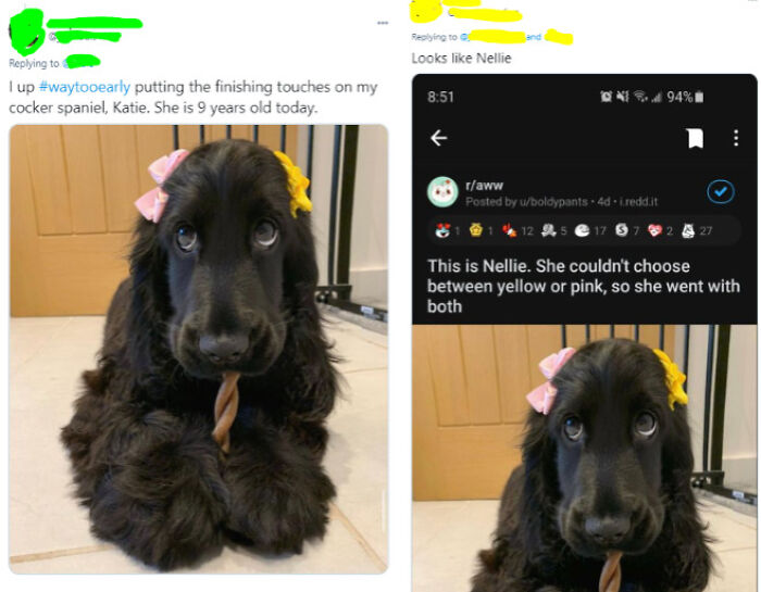 On The Internet You'll Never Get Away With Lying About Animals