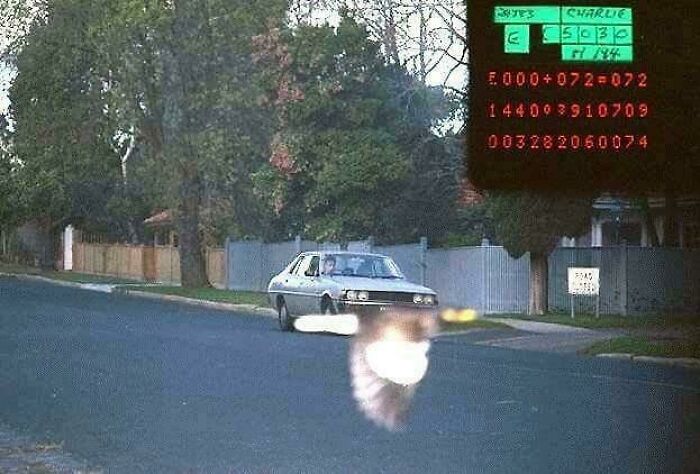 The Police Facebook Page Posted A Picture Taken By A Speeding Camera. The Bird Saves The Day