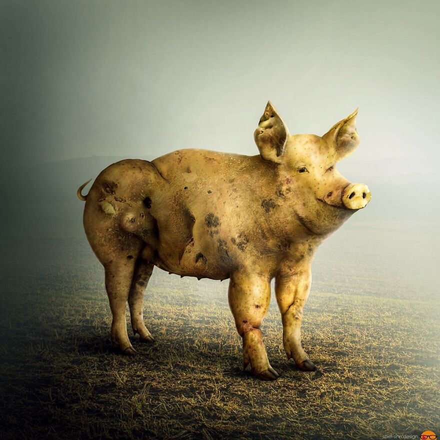 Digital Artist Makes Amazing Image Edits Using Animals, Fruits And Vegetables (120 Pics)