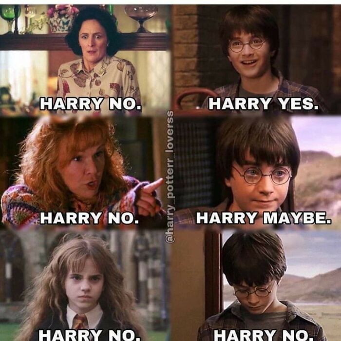 Harry Potter Funny Memes 