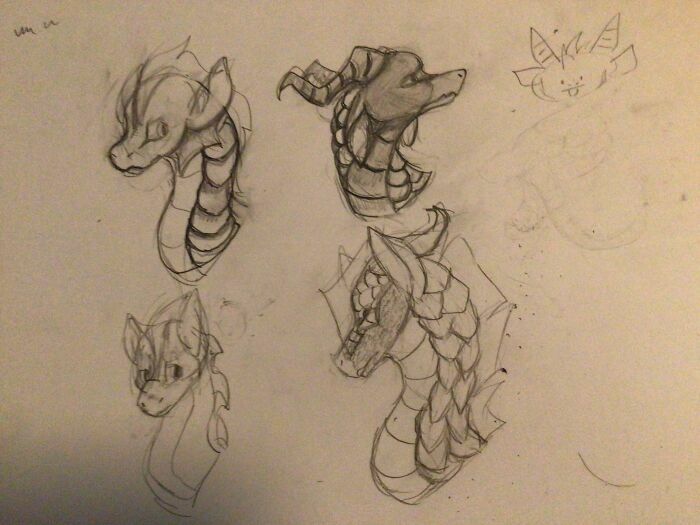 Here Are Several Dragon Sketches