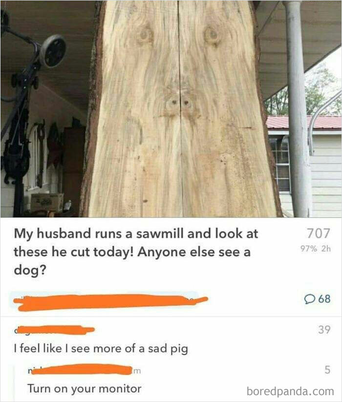 I See A Sad Pig Too