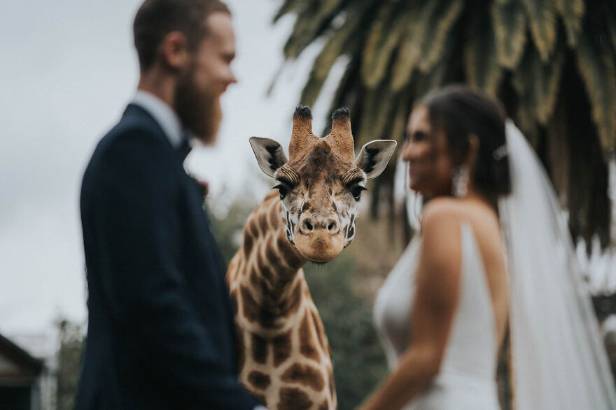Meet The Top 50 Wedding Photos Of 2020