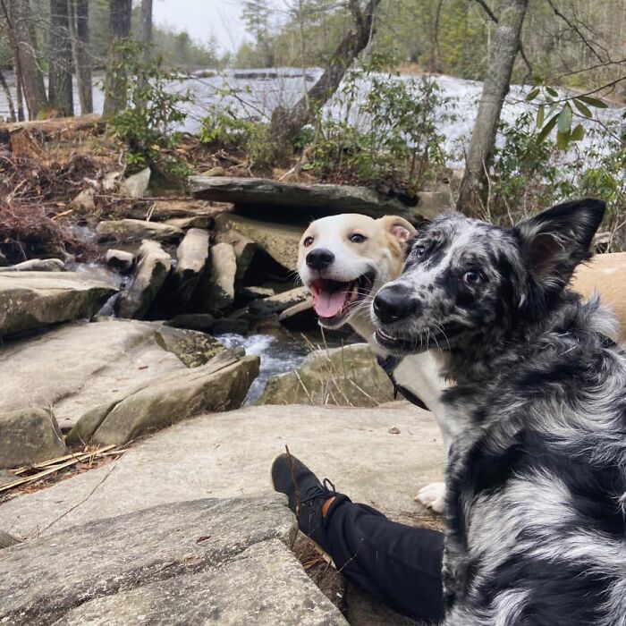 We Went Hiking With A Few Friends. They Captured Our Girl Piper Cheesing (In Front) With Her Best Friend Dash (Back)