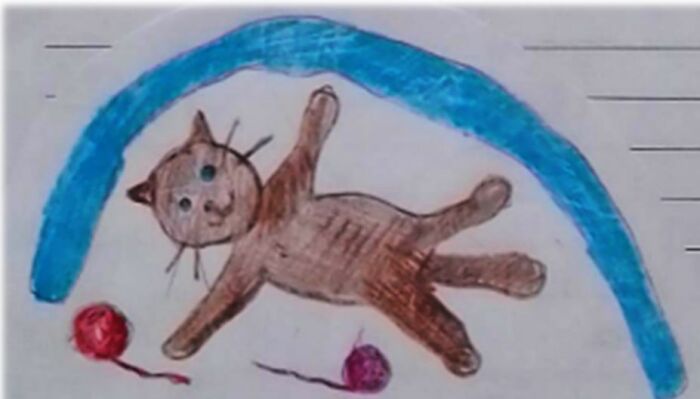 My Daughter Wanna Have A Cat, But We Already Have A Dog And There´s No Room :( So She Draws Cats Everywhere.