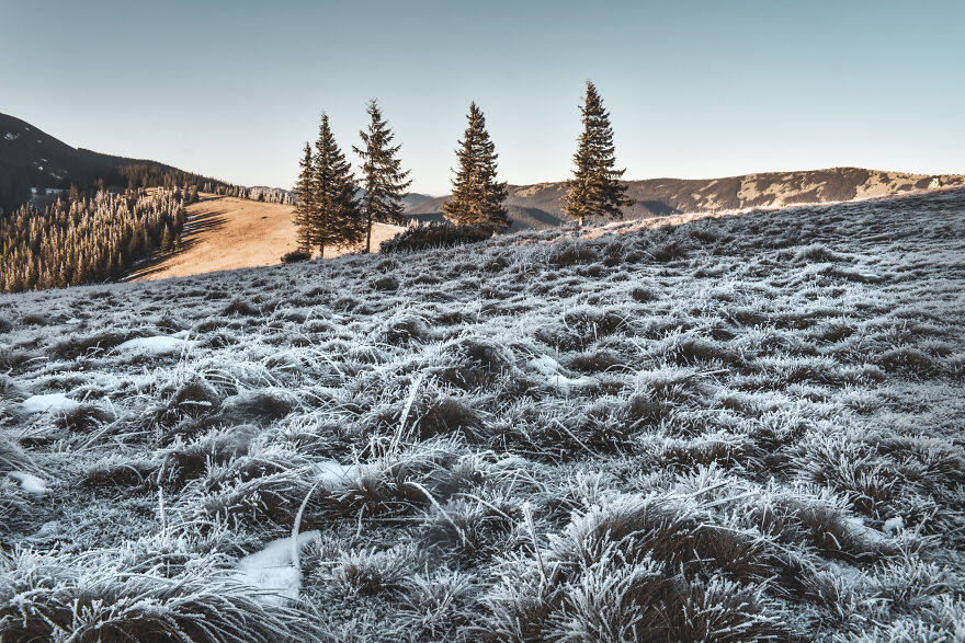 I Captured Winter Beauty Of Homyak Mountain In Ukrainian Carpathians (25 Photos)