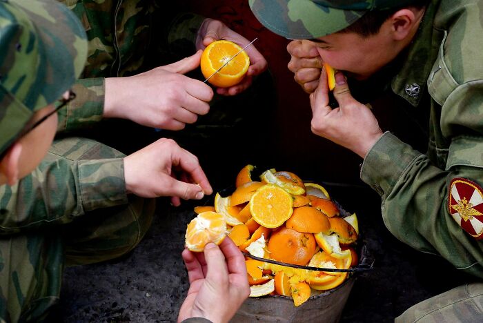 Hungry Soldiers Eat Rotten Oranges Thrown To The Dump From The Officer's Kitchen