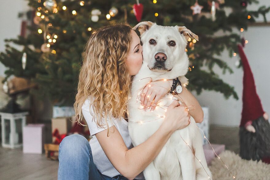 "Show Your Pets A Christmas Tree" Initiative Strives To Get As Many Food Donations As Possible