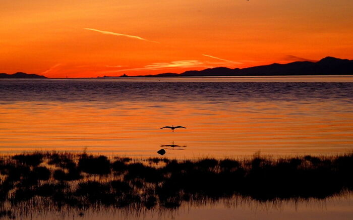 Fraser River -Delta-Richmond-Vancouver -Every Sunset Is A Spectacle, Divine Pure Nature