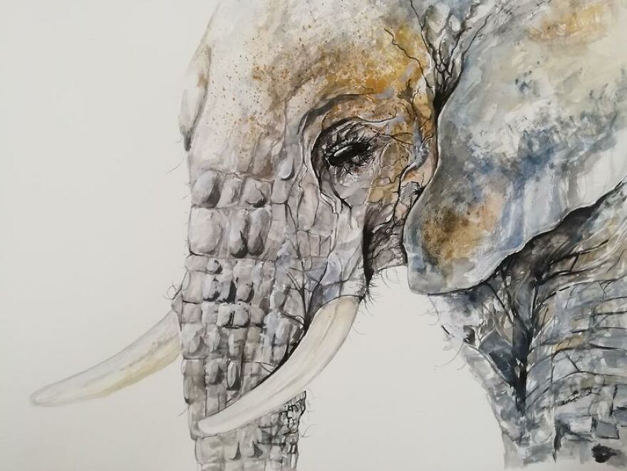 I Paint Animals In Quirky Yet Photographic Detail I Paint Animals In Quirky Yet Photographic Detail