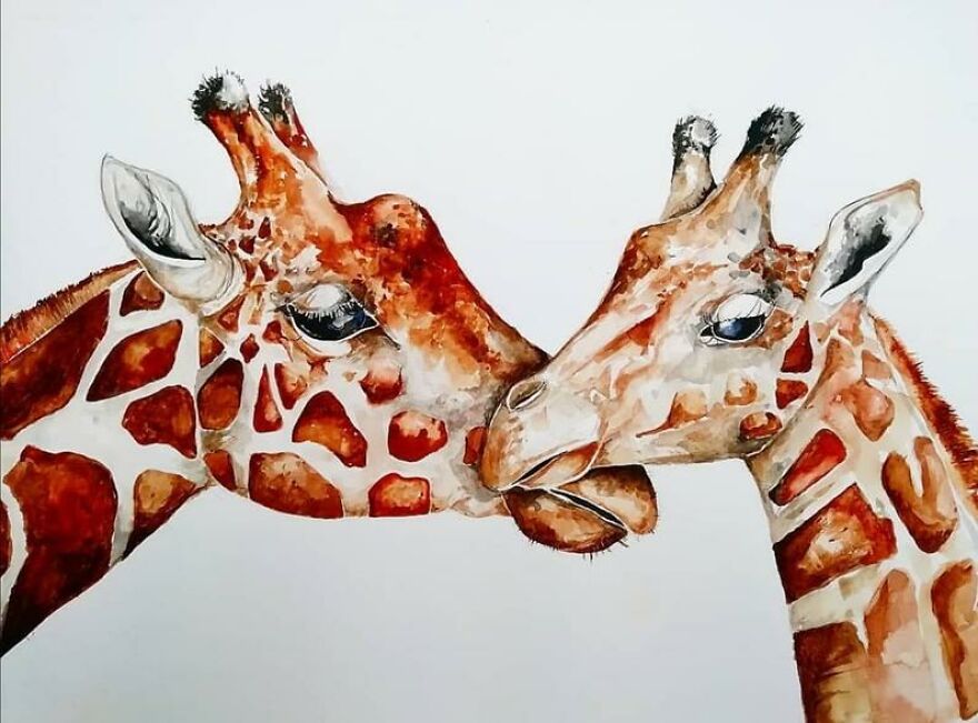 I Paint Animals In Quirky Yet Photographic Detail I Paint Animals In Quirky Yet Photographic Detail