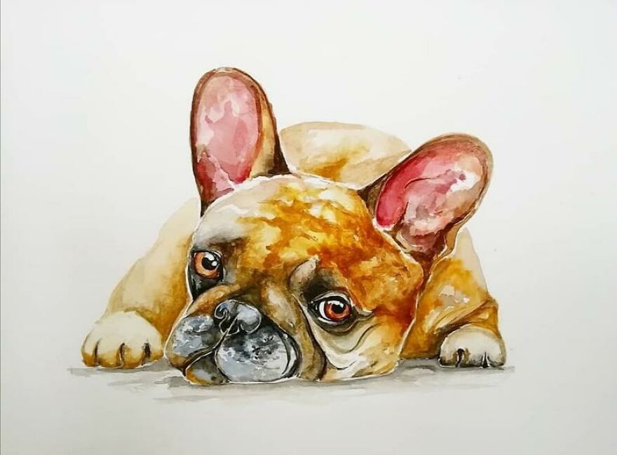 I Paint Animals In Quirky Yet Photographic Detail I Paint Animals In Quirky Yet Photographic Detail