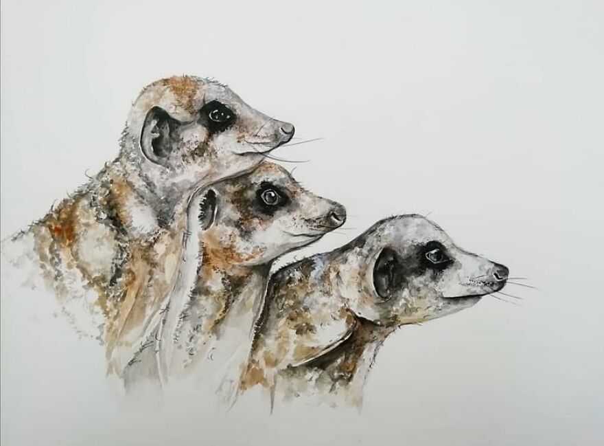 I Paint Animals In Quirky Yet Photographic Detail I Paint Animals In Quirky Yet Photographic Detail