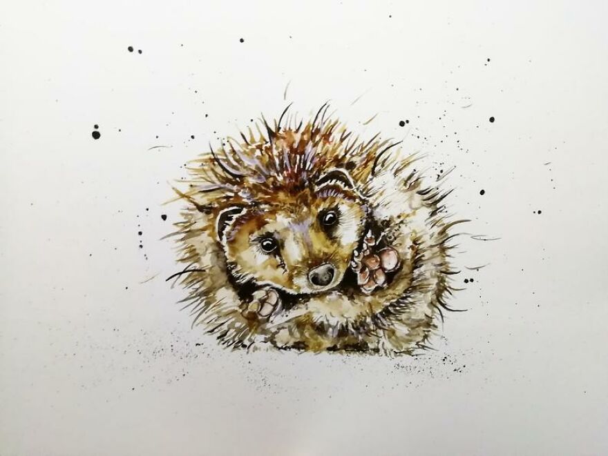 I Paint Animals In Quirky Yet Photographic Detail I Paint Animals In Quirky Yet Photographic Detail