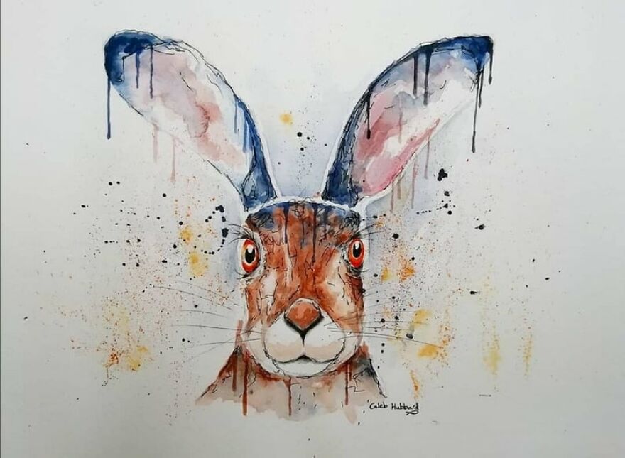 I Paint Animals In Quirky Yet Photographic Detail I Paint Animals In Quirky Yet Photographic Detail