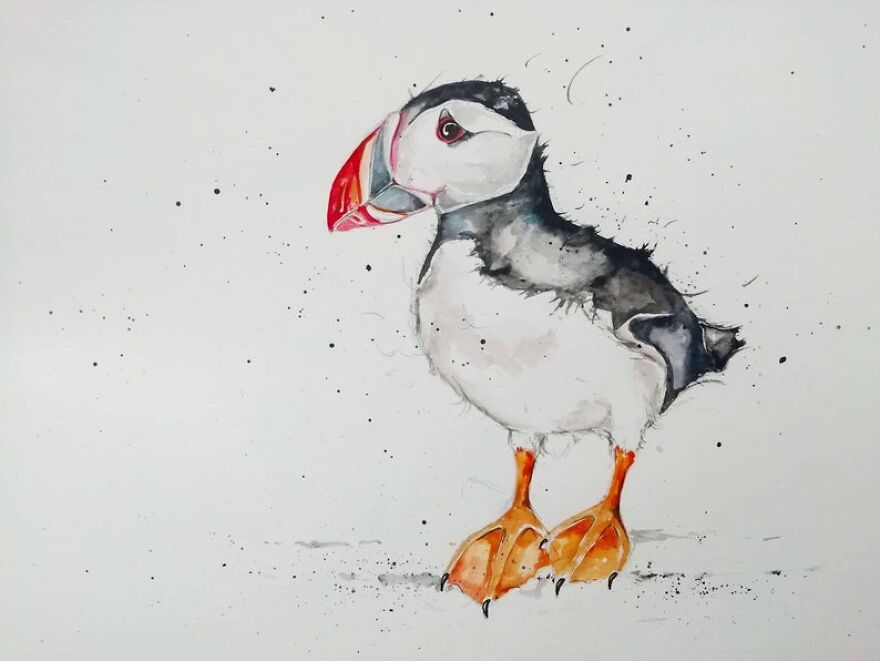 I Paint Animals In Quirky Yet Photographic Detail I Paint Animals In Quirky Yet Photographic Detail
