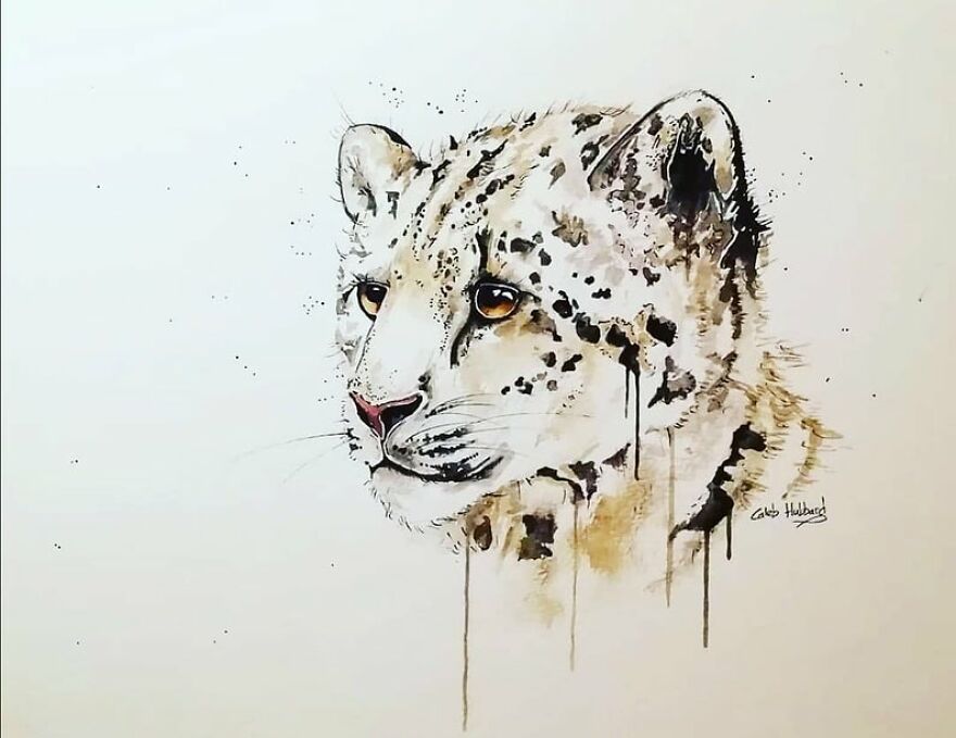I Paint Animals In Quirky Yet Photographic Detail I Paint Animals In Quirky Yet Photographic Detail