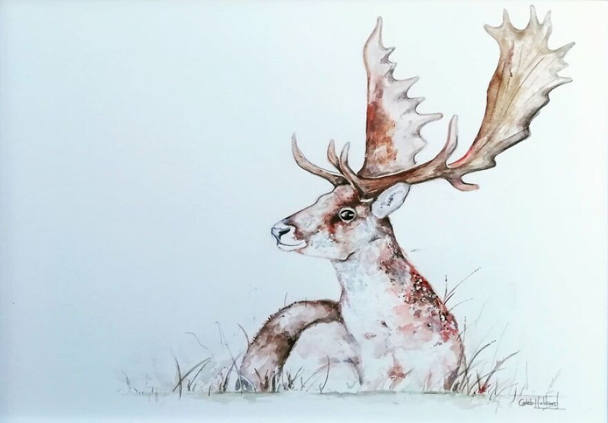 I Paint Animals In Quirky Yet Photographic Detail I Paint Animals In Quirky Yet Photographic Detail