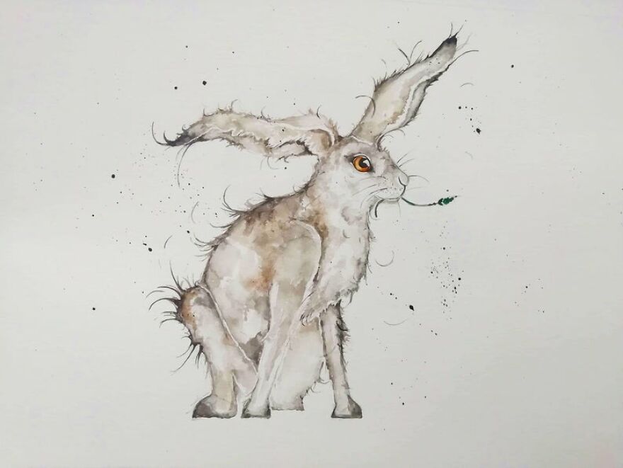 I Paint Animals In Quirky Yet Photographic Detail I Paint Animals In Quirky Yet Photographic Detail