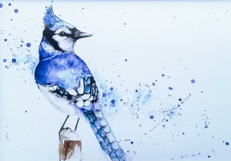 I Paint Animals In Quirky Yet Photographic Detail I Paint Animals In Quirky Yet Photographic Detail