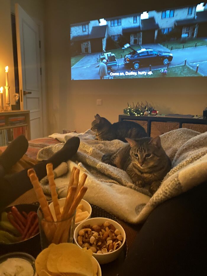 My Most Recent Pic - An Evening Spent Watching Harry Potter With Our Two Furry Friends And Snacks