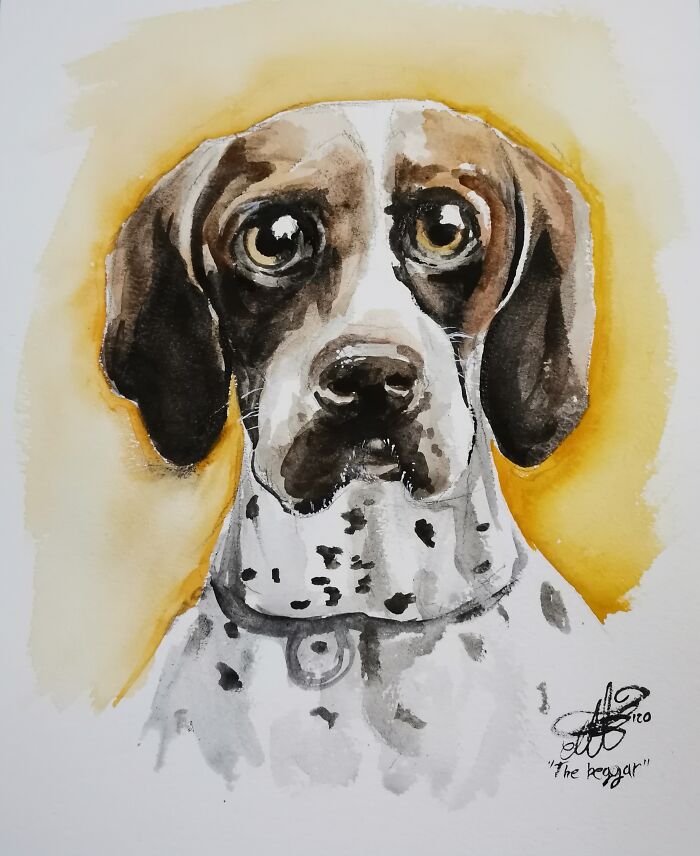 A Watercolour Of My Brother's Dog. That's The Look He Gives You When He Wants Yo Food