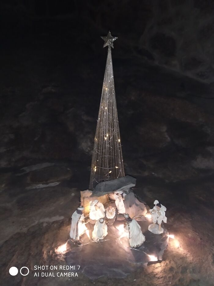 Xmas Tree And Nativity Scene Combo