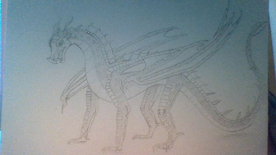 here is my Fictional Animal. im a huge wings of fire fan these is a rain/leaf wing hybrid