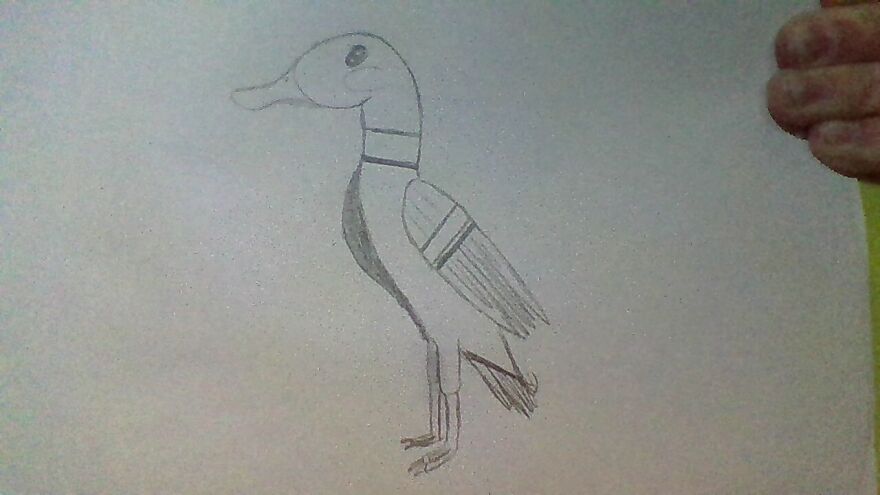 i made a duck