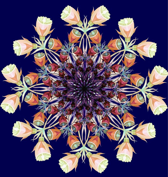 Jet Engine Based Flower Mandala-Digital Art