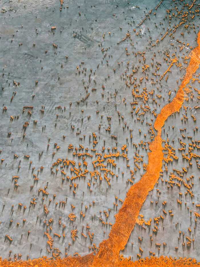 iPhone Photography Awards 2020