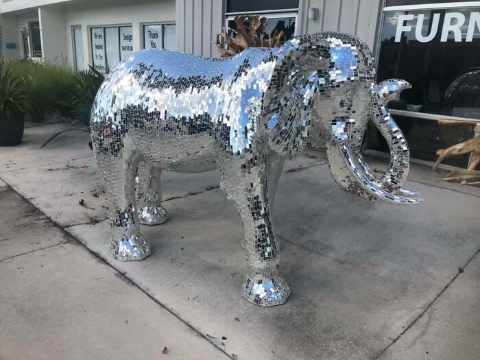 I Went To A Consignment Store In Naples, Fl Earlier Today And Out Front They Had A Goddamn Disco Elephant
